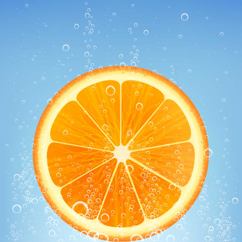 白色背景上的柑橘类水果矢量插图 平面设计的活力源泉